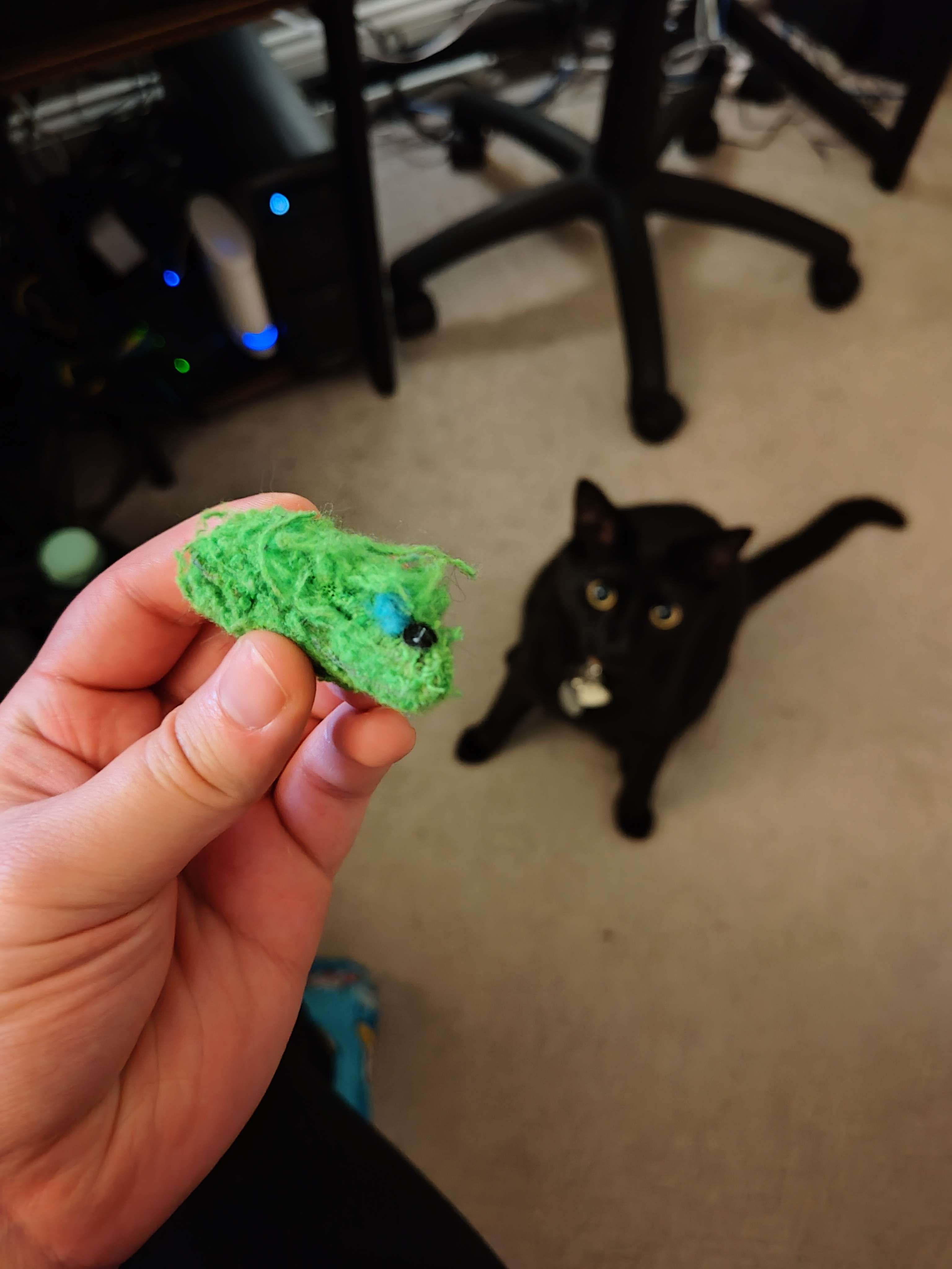 Radio's Lost Green Mouse