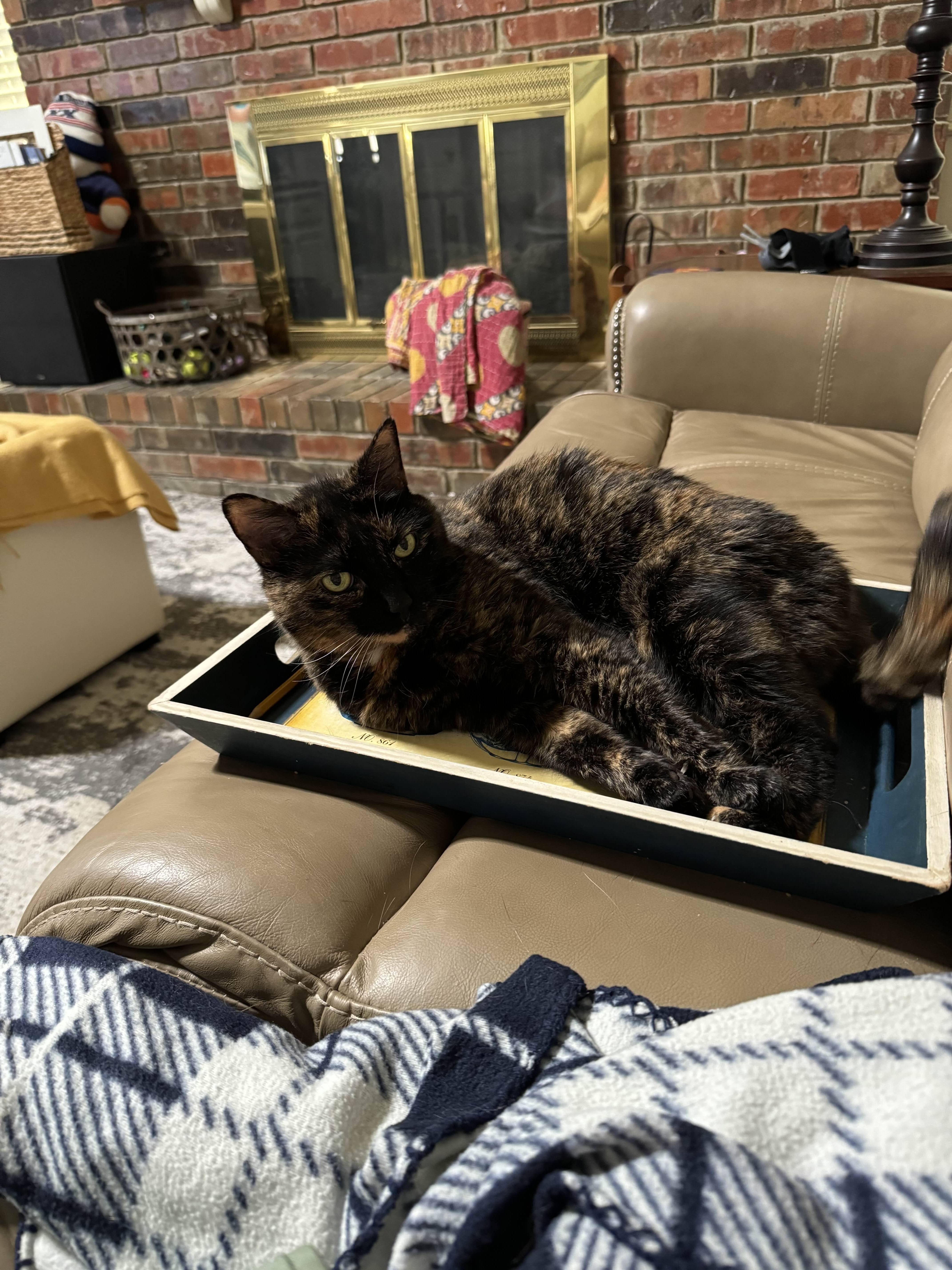 Mimi's Tray/Pencil